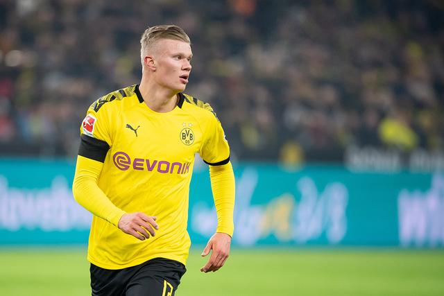 年轻队友因 年轻队友因