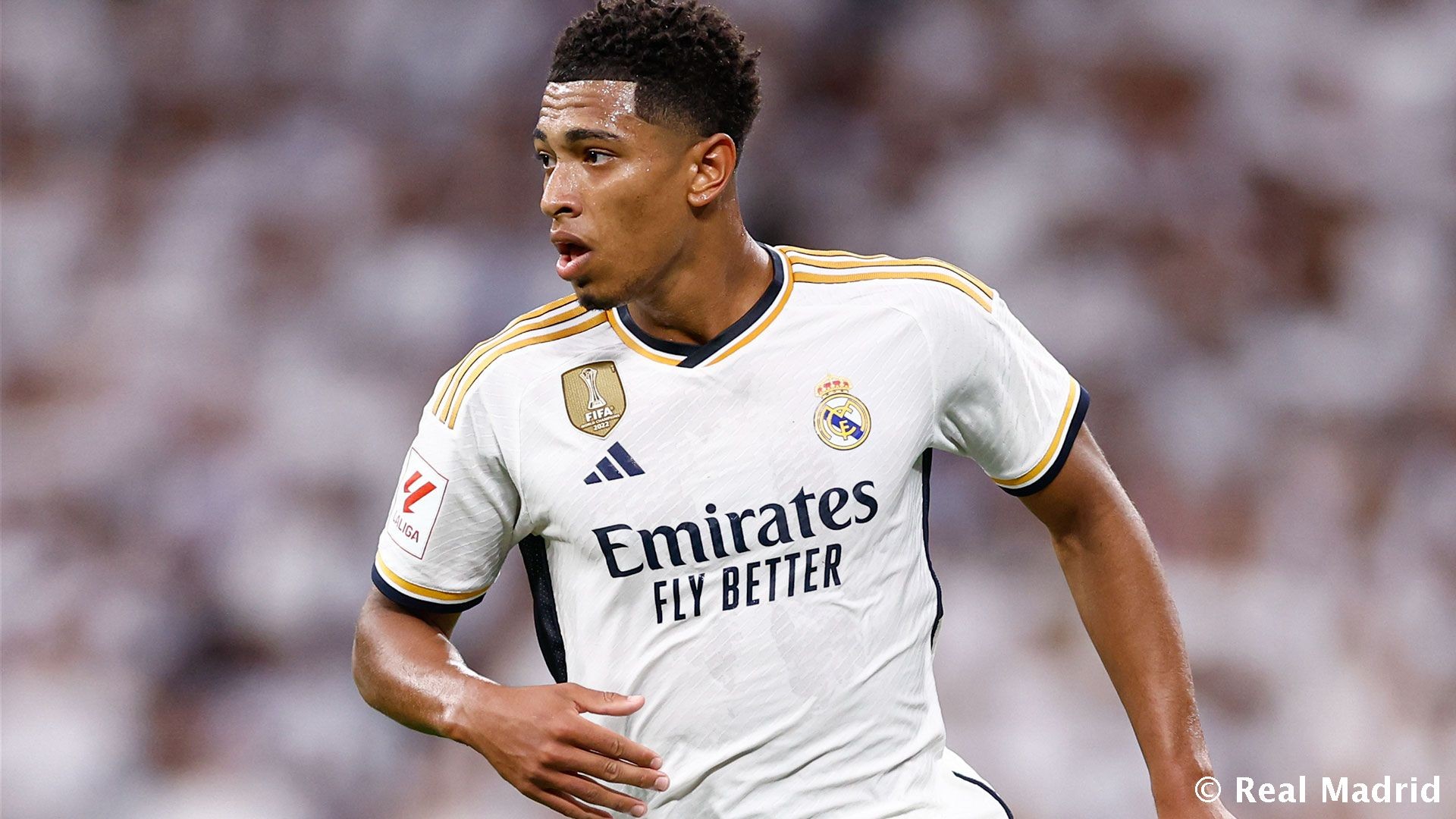 他在转换进 他在转换进